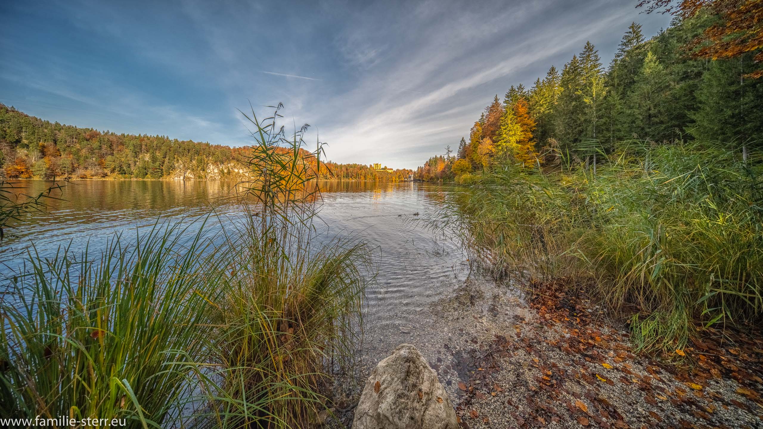 Alpsee im Herbst